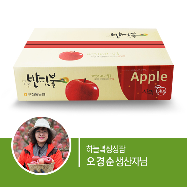 사과(부사) 5kg