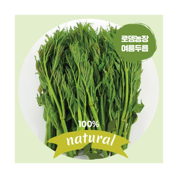 여름두릅