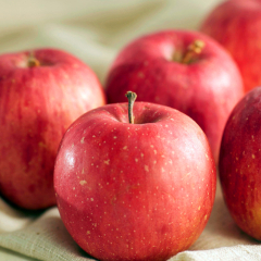 사과(부사) 5kg, 10kg